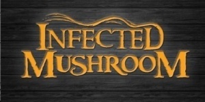 Infected Mushroom live 