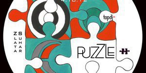 PuzZLe party