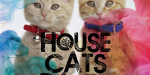 HOUSE CATS PARTY