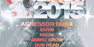 DNB NEW YEAR 2015